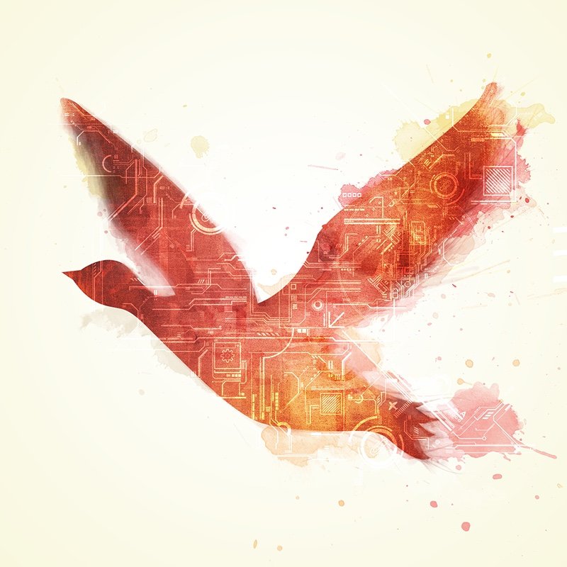redgooseme's profile picture. Creative Designer, Photographer, Developer,  html/css, Javascript, MacOS