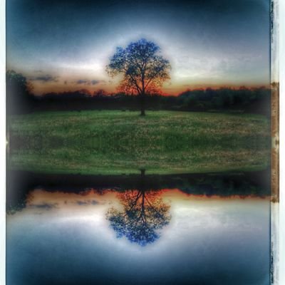 dpatton38's profile picture. Anyone know a good public speaking class?