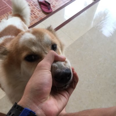 สวัสดีทวิตเตอร์ กูมาแล้ว!!!