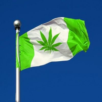 naija_weed's profile picture. No 1 weed blog in Naija. @naija_weed on Instagram. Go follow there too.