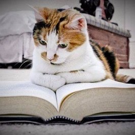 DBIS_Seminare's profile picture. 