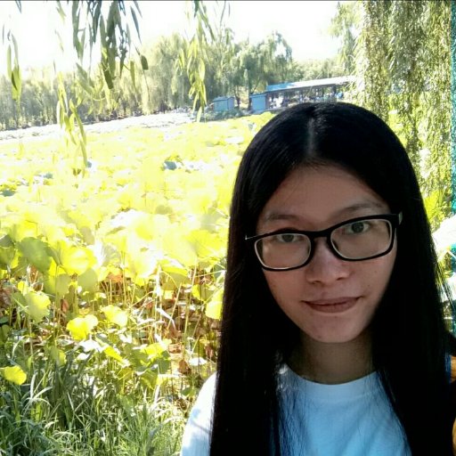 JosieIdealhome's profile picture. salesman - Ideal Home & Gifts Co., Limited