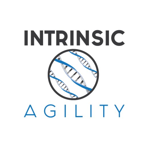 Helping people and business internalize Agility, Change Management and Emotional Intelligence one principle at a time.