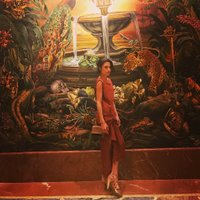 Lane Nieset (@lanenieset) 's Twitter Profile