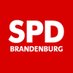 SPD BRANDENBURG (@ostkurve) Twitter profile photo