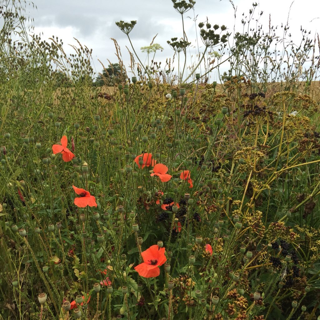 Justontime158's profile picture. 