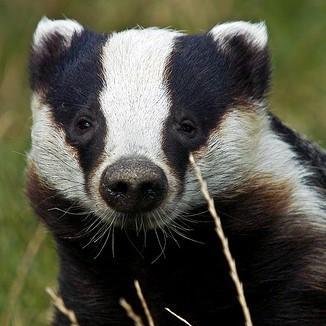 sicestceque's profile picture. Improvisateur insolent depuis peu sur Paris et ailleurs... Si tu me cherches, tu me trouves !