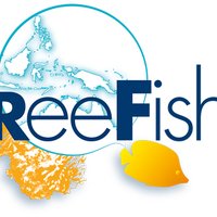 ReeFish(@ReeFishNews) 's Twitter Profile Photo