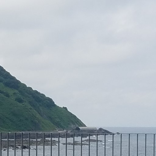 red0bird's profile picture. ゲームしたりプラモ作ったりする人　崩壊3rdやったりブルアカったり