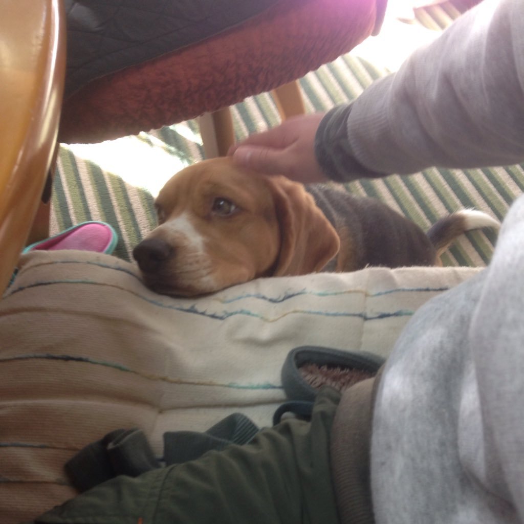 konoukinanno's profile picture. 💡