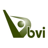 BVI Consulting Eng(@BVIConsulting) 's Twitter Profile Photo