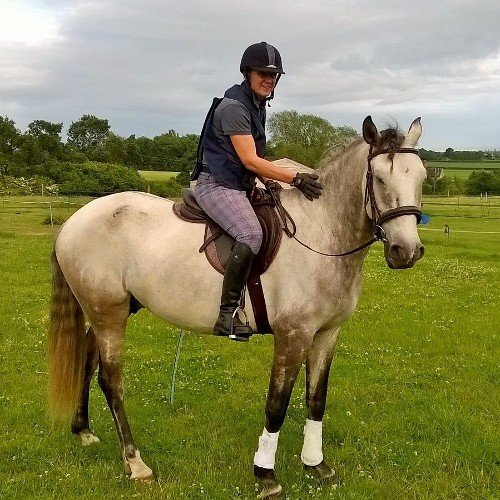 Lusitano horse moved to the UK for work. Hopefully for a career in Working Equitation. Disclaimer, my owners views are presented, not mine!
