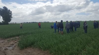 projectgroep 'ui'tmuntend is een groep enthousiaste ondernemers die de uienteelt naar een hoger niveau willen brengen, door buiten de vaste lijnen te denken.