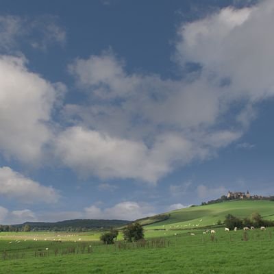 yamamoto225's profile picture. Eurotrackモッド作成してます