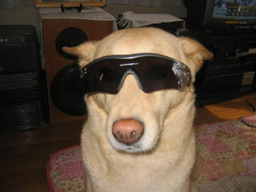 hokuto_19's profile picture. 