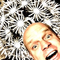 John Medeski(@john_medeski) 's Twitter Profileg