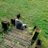 Solamente_Mirko's profile image