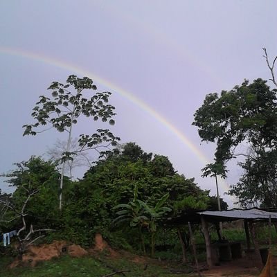 marisoldejesusg's profile picture. 