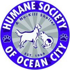 Adoption Center/Animal Shelter/Veterinary Services and Animal Control in Ocean City NJ