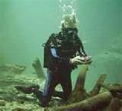 fosoior's profile picture. federico a. osorio romero