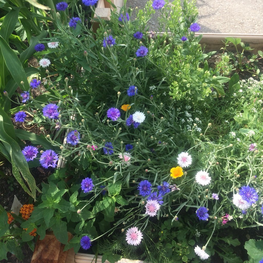 OK2Southfields's profile picture. mom and play enthusiast.