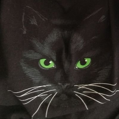 a__m_y__1's profile picture. 