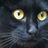samui_05's profile image