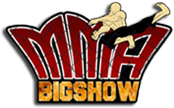 The Big Show Of Pro/Am Mixed Martial Arts