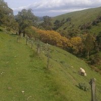 Mark Guscott (@guscottmark) 's Twitter Profile