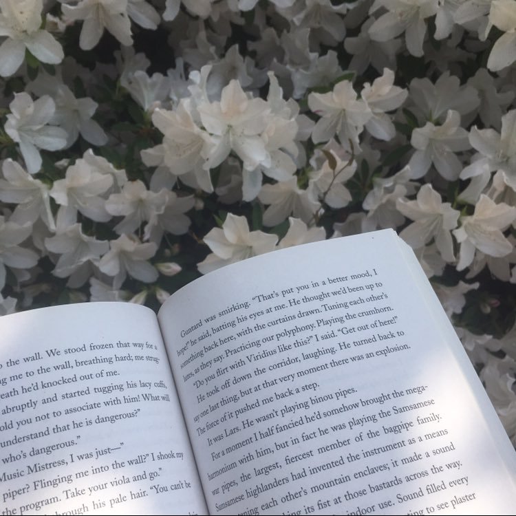 thebookishfiles's profile picture. Pride and Prejudice fanpage https://t.co/p6BTzRuIix