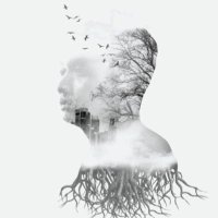 Hestu Saputra (@hesstu) 's Twitter Profile