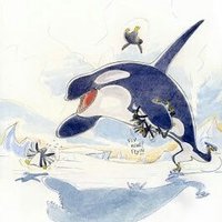 save cetaceans (@orcaoniceskates) 's Twitter Profile