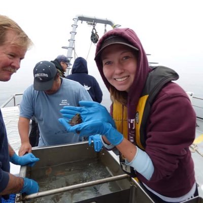 Project Researcher @emLabUCSB | Former Lowe Labber @CSULBsharklab l recreational cookie decorator (Instagram: thecookiebiologist) (she/her)