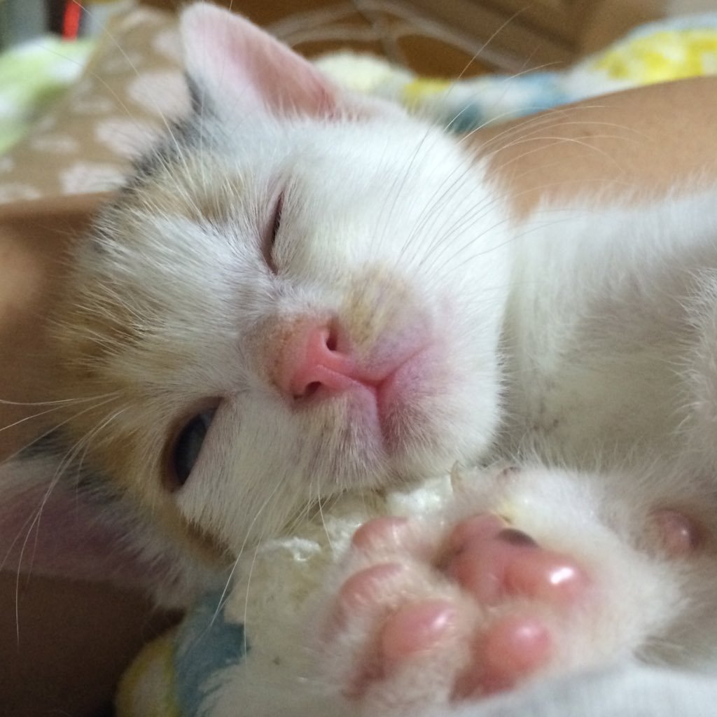 xV2TiscCN9l9Yba's profile picture. 