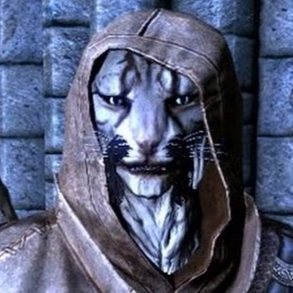 Hand over your valuables and skooma, or J’zargo will gut you like a mudcrab!