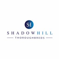 Shadow Hill Th'breds (@shadowhillvic) Twitter profile photo