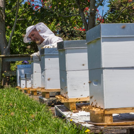beekeeper & farmer