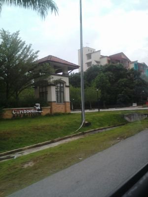 unitmesta's profile picture. Hai progem