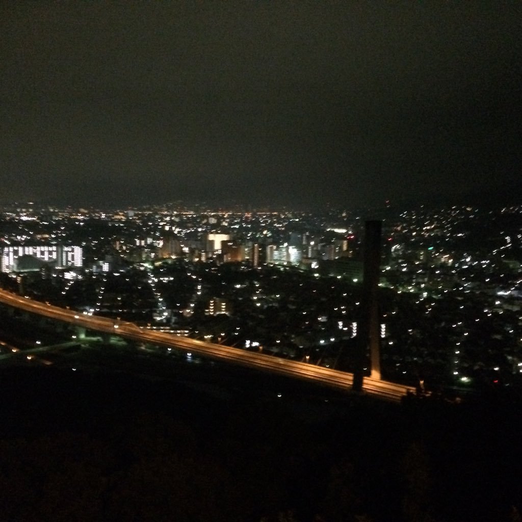 K71389803's profile picture. 