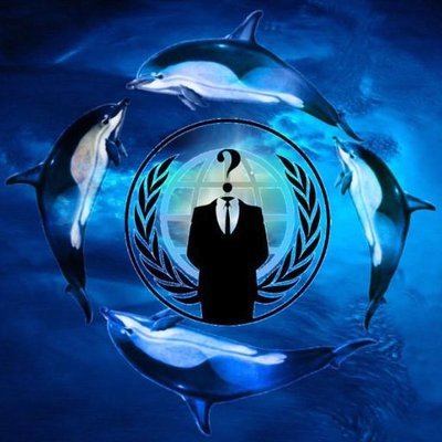 Anon4dolphin Profile Picture