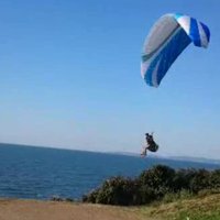はしぽん (@winef70) 's Twitter Profile