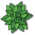 MINT database (@mint_database) Twitter profile photo MINT database (@mint_database) Twitter profile photo
