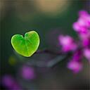 Wendy Herrick - @herrick_photo - Twitter