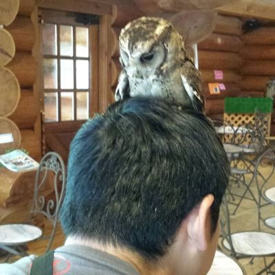 げんたろー。さんのプロフィール画像