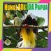 BBKSDA Papua (@bbksdapapua) Twitter profile photo BBKSDA Papua (@bbksdapapua) Twitter profile photo