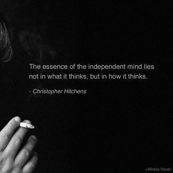 camilla_casari's profile picture. 🪴