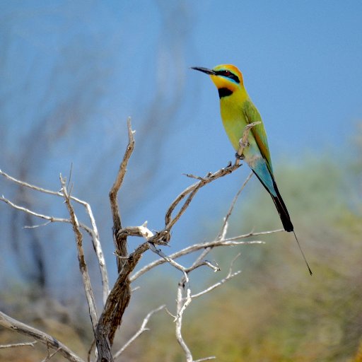 THPcheltenham's profile picture. Photographer based in and around Gloucestershire, Worcestershire and Herefordshire. Cars,Bikes, Good Food & Good Coffee. Instagram   thpchelt
