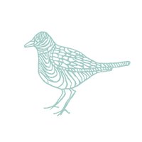 The Bridge Lodge (@thebridgelodge) 's Twitter Profile