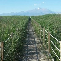 Tuğba Mermer (@ergn_mermer) 's Twitter Profile