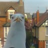 SeagullSandy's profile picture. Famous Herring Gull enjoys fine dining #LythamStAnnes Style loves #StAnnesOnSea #GardenTownByTheSea  #Seagullsgreetings